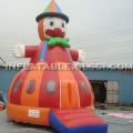 T2-2845 Inflatable Bouncers